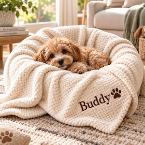 May include: A cream-colored, textured pet bed with a plush, rounded rim. A small, light brown puppy is resting inside the bed. The fabric features the embroidered brown text "Buddy" accompanied by a small brown paw print graphic on the front.