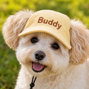 May include: A light yellow corduroy baseball cap for a dog, featuring the word Buddy embroidered in brown thread on the front panel. The cap includes a black adjustable chin strap with a plastic toggle to secure it under the chin.