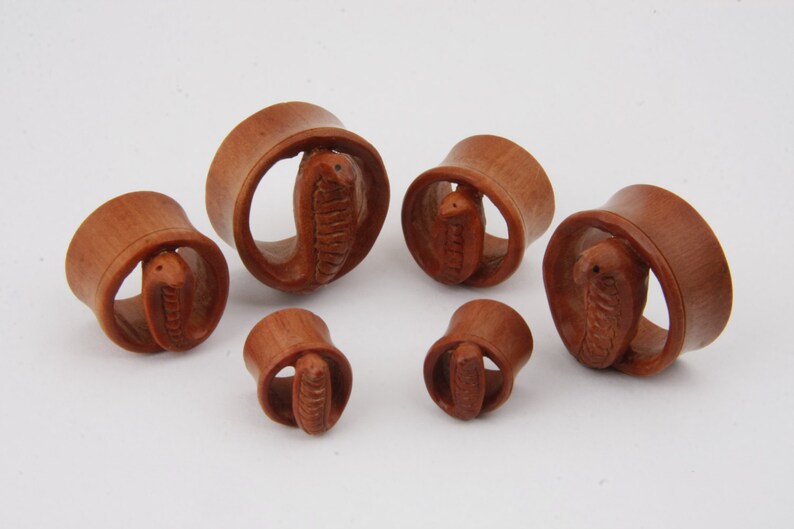 Double Flare Tunnel Organic Sawo Wood Ear Plug Gauges Body Piercing Jewelry Pair Cobra Snake Gift for Pierced 3D