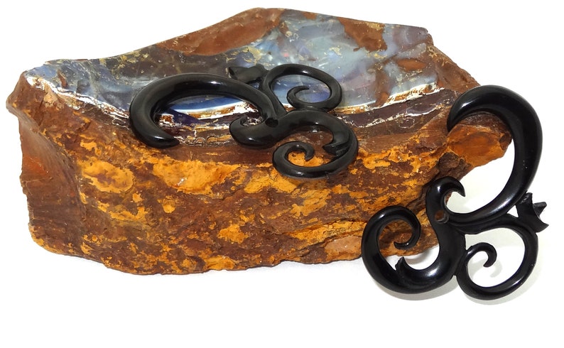 May include: Two black horn plugs with a swirling design. The plugs are on a rock with a blue and brown background.