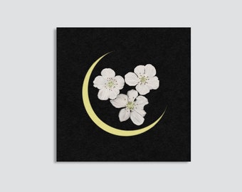 May include: Three white flowers arranged in a crescent shape against a black background. The crescent is a pale yellow color.
