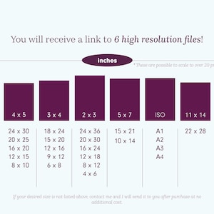 May include: A chart with print sizes in inches and centimeters, including 4x5, 3x4, 2x3, 5x7, ISO, and 11x14. The text states that you will receive a link to 6 high-resolution files and that sizes can scale to over 20 print sizes.