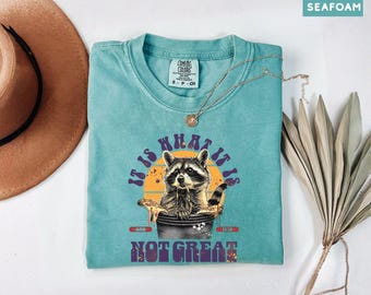 Sarcastic Raccoon Comfort Colors Shirt, It Is What It Is Trash Panda T-shirt, Funny Burnout Tee, Retro Raccoon Eating Pizza Top