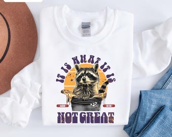 Sarcastic Raccoon Sweatshirt, It Is What It Is Trash Panda Sweater, Funny Burnout Shirt, Retro Raccoon Eating Pizza Crewneck, Introvert Gift