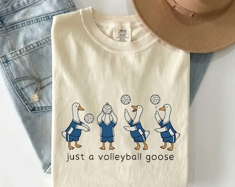 Volleyball Goose Shirt, Funny Goose Sweatshirt, Volleyball Season Shirt, Volleyball Gift, Sports Lover Gift, Game Day Shirt, Shirt, Shirt