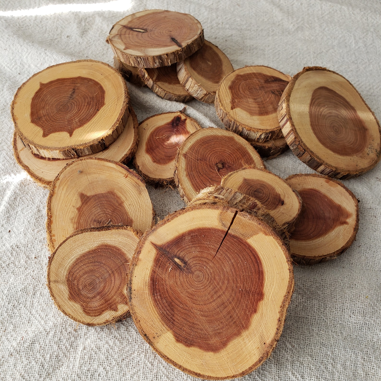 HUGE Lot of 17 CEDAR Wood Circles Slices WOOD Cedar Craft Etsy