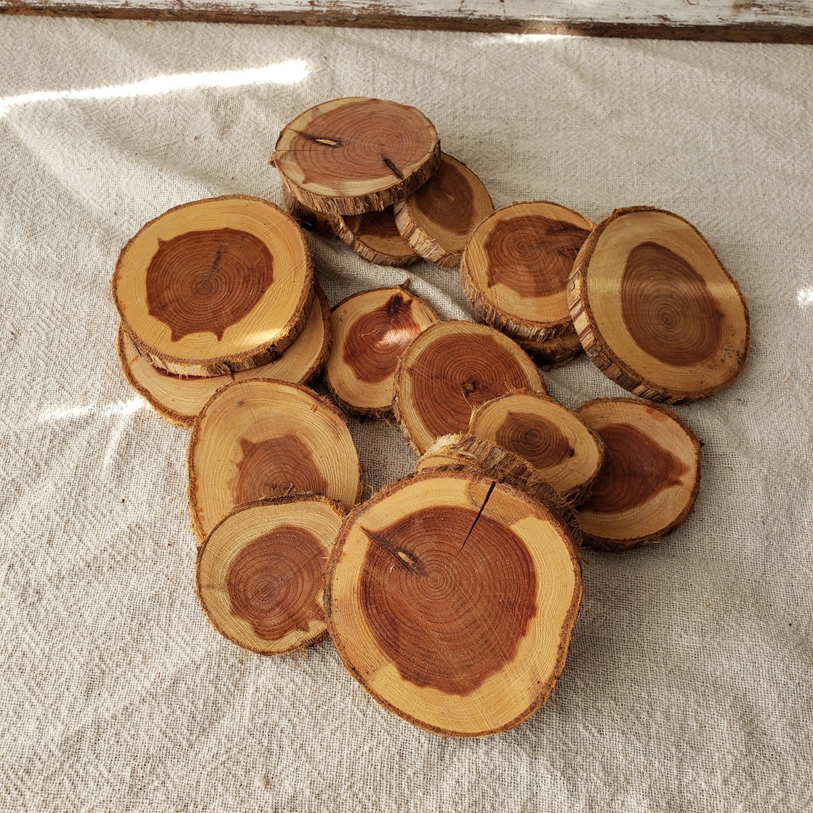 HUGE Lot of 17 CEDAR Wood Circles Slices WOOD Cedar Craft Etsy