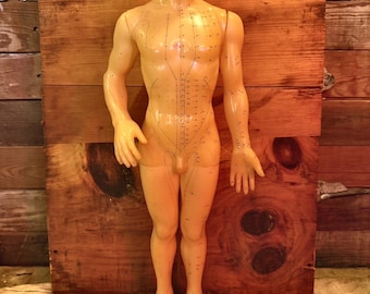Vintage Chinese Acupuncture Anatomy Model – Good Health Brand Medical Teaching Figure 1970s–1980s