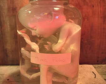 Vintage 7 Month Fetus Medical Teaching Specimen Jar Harrison College Oddity 1970s–1990s