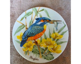 Vintage Kingfisher Bird Bone China Saucer Made in England Nature Tea Plate