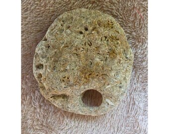 Natural Hag Stone with Hole Real Beach Find Odin Stone Lucky Talisman Decor