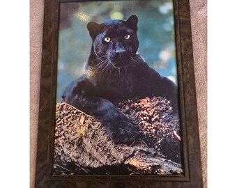 Vintage Wayne Frame Co Black Panther Wildlife Photo Print Burl Wood Style Frame