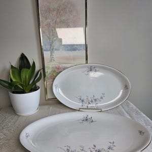 May include: Two white oval serving platters featuring a delicate floral pattern with light blue and grey petals and green leaves. Each platter is finished with a thin silver metallic rim along the edge, providing a clean and polished appearance.