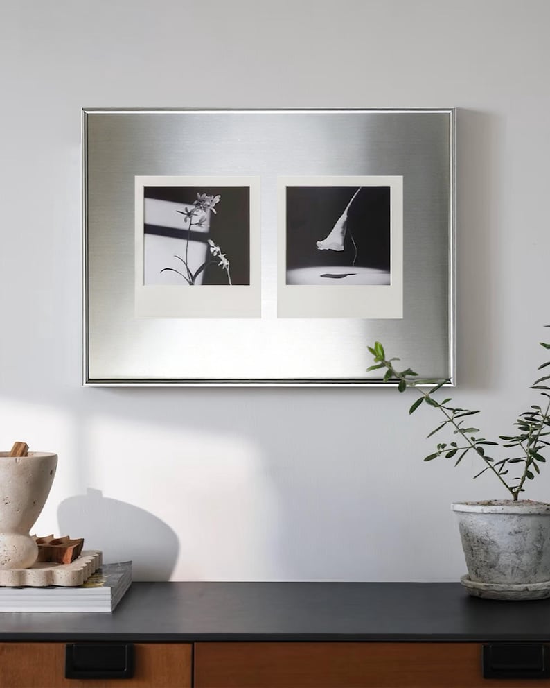 Puede incluir: Una pieza de arte mural con marco de metal plateado con dos fotograf&iacute;as florales en blanco y negro. Las fotograf&iacute;as est&aacute;n en marcos mate blancos. Una planta en maceta y objetos decorativos est&aacute;n sobre una superficie oscura debajo.