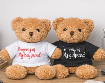 Romantic Photo Teddy Bear Gift, Personalized Couple Plush Bear, Anniversary Keepsake Gift For Boyfriend Or Girlfriend
