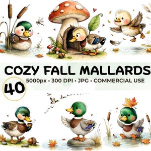 May include: A digital collection of illustrations featuring mallard ducklings in autumn settings, including mushrooms, cattails, and fallen leaves. The text reads COZY FALL MALLARDS, 40, 5000px, 300 DPI, JPG, COMMERCIAL USE, showcasing various duck poses.