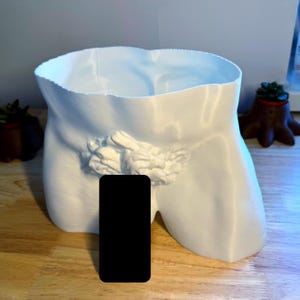 Pot de fleurs masculin érotique, jardinière de sculpture masculine moderne, décoration d'intérieur gay imprimée en 3D, pot d'art unique