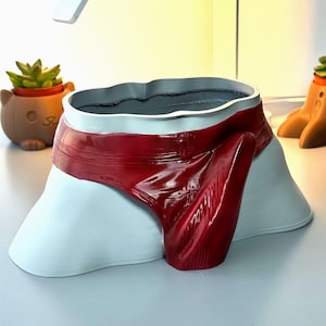 Puede incluir: Una maceta abstracta única en forma de calzoncillos. La maceta presenta una cinturilla roja brillante y un cuerpo blanco. El interior es de color gris oscuro, listo para plantar. Se ve una pequeña maceta de suculentas en el fondo.