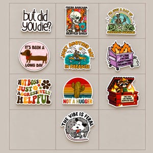 Puede incluir: Una colección de diez pegatinas de vinilo con diversas ilustraciones y textos, incluyendo but did you die, fresh sarcasm served daily, I'm just a ray of sarcastic sunshine, it's been a long day, just another day in paradise, it's fine, not bossy just aggressively helpful, not a hugger, only you can prevent dumpster fires, y the vibe is feral.
