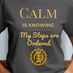 Calm—Knowing My Steps Are Ordered | Walk by Faith tee | Inspirational shirt