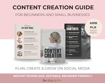 Anleitung zur Erstellung von Inhalten für Anfänger (PLR MRR)