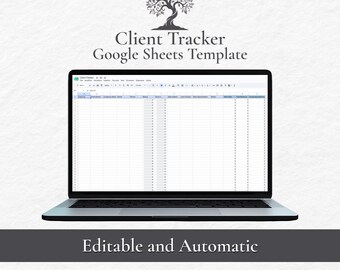 Client Tracker Google Sheets, Editable Client Management Spreadsheet for Coaches Salons and Service Businesses