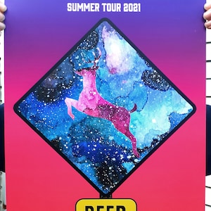 Phish Deer Creek 2021-phan art print