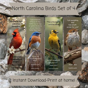 May include: Set of 4 North Carolina bird prints. Each print features a different bird: a Northern Cardinal, Eastern Bluebird, American Goldfinch, and Carolina Wren. Each print includes a Bible verse and the bird's name.