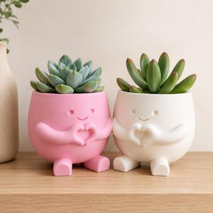May include: Two quirky succulent planters, one pink and one white, each with a smiling face and arms forming a heart shape. The planters hold green succulents. They are sitting on a wooden shelf.