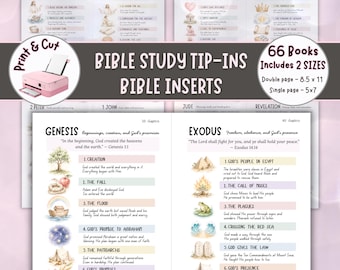 Materiales complementarios para el estudio bíblico, resúmenes de la versión King James e ilustraciones en acuarela (descarga en PDF).