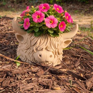 Höglandskon-planter | Suckulentkruka med djurmotiv | Skrivbordsdekoration | Pennhållare