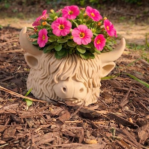 Highland Cow Planter | Animal Succulent Pot | Desk Decor | Pencil Holder | Paintable