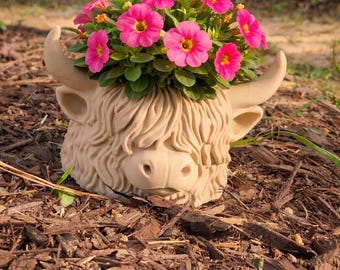 Highland Cow Planter | Animal Succulent Pot | Desk Decor | Pencil Holder | Paintable