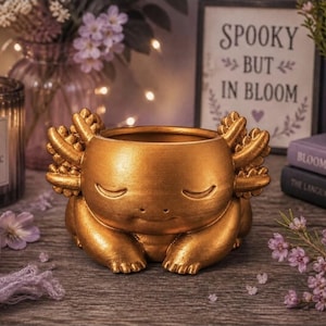 Axolotl Planter Pot – Kawaii Succulent Holder, Animal Desk Decor, Small Flower Pot.