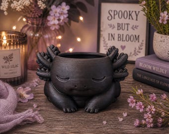 Kleiner Blumentopf / Axolotl-Topf für Pflanzen, Sukkulenten, Schreibtischdekoration, Sukkulentenhalter.