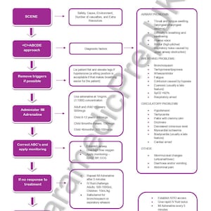 Może przedstawiać: Schemat medyczny dotyczący wstrząsu anafilaktycznego, szczegółowo opisujący kroki postępowania w nagłych wypadkach. Obejmuje ocenę wstępną, postępowanie z drogami oddechowymi i podawanie leków, z dawkowaniem. Pokazuje problemy oddechowe i krążeniowe.
