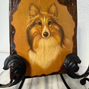 Portrait vintage d'un berger des Shetland sur une plaque de bois rustique à bord naturel