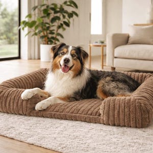 May include: A contented Australian Shepherd dog lies on a brown corduroy dog bed. The dog has a white chest, brown and black fur, and is smiling. The bed is rectangular with raised sides and sits on a white rug. The bed is approximately 76 cm long.