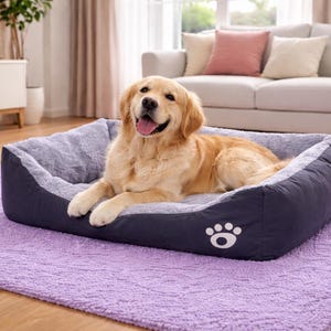 Peut inclure: Un chien Golden Retriever heureux se repose dans un lit pour animaux de compagnie bleu marine et gris avec une empreinte de patte. Le lit est posé sur un tapis violet. Un canapé et une fenêtre sont visibles en arrière-plan.