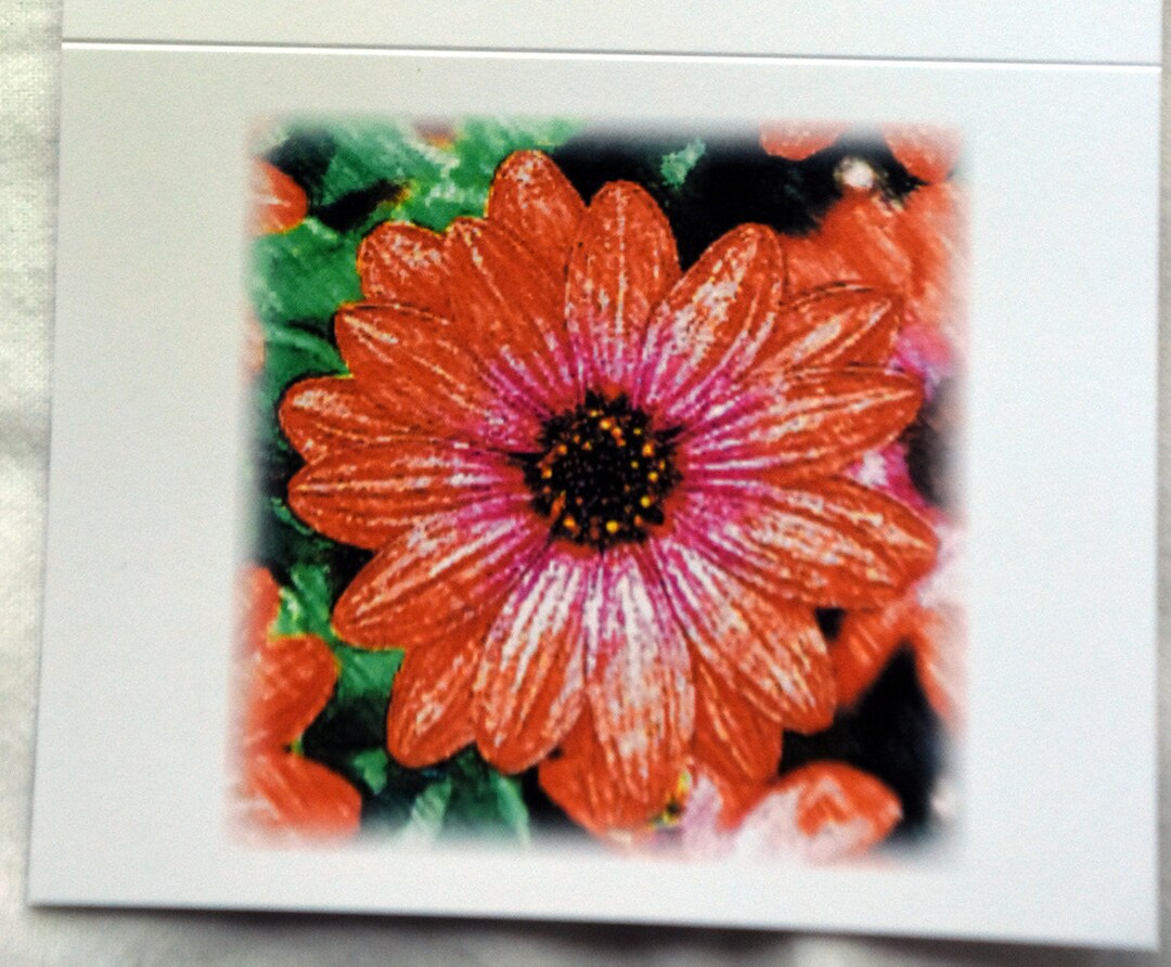 Colored Pencil and Crayon Drawings of Flowers Notecards Etsy
