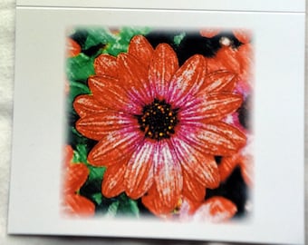 Colored Pencil and Crayon Drawings of Flowers - Notecards