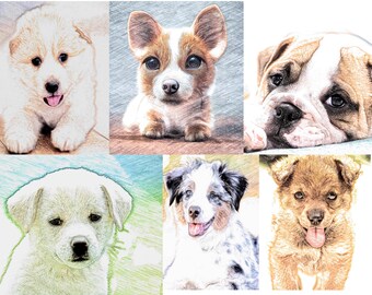 May include: A collage of six pencil drawings of different dog breeds. The dogs are all puppies and are drawn in a realistic style. The dogs are all looking at the camera.