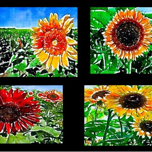 4 tournesols aquarelles primitifs éclatant au soleil - Cartes de notes