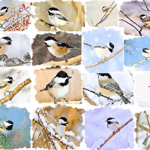 Collage de mésanges primitives aquarelles en hiver - Cartes pour correspondance