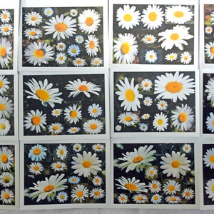 Daisy Collage Smiling at You - Notecards