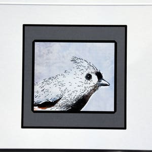Aquarelles de la Mésange pose pour vous - cartes de correspondance
