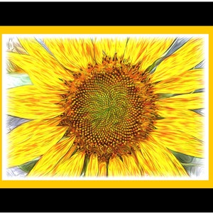 Aquarelle et dessins montrant les mouvements de tournesols profitant de la journée - Cartes de notes