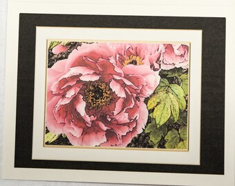 Colored Pencil Drawings of Peonies - Notecards