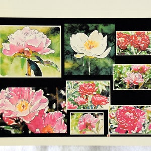 Collage of Watercolor Peonies - Notecards
