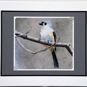 Aquarelle de mésange, profiter de la journée - cartes de correspondance